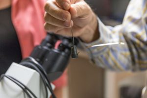 Diego-microscope-1200x800