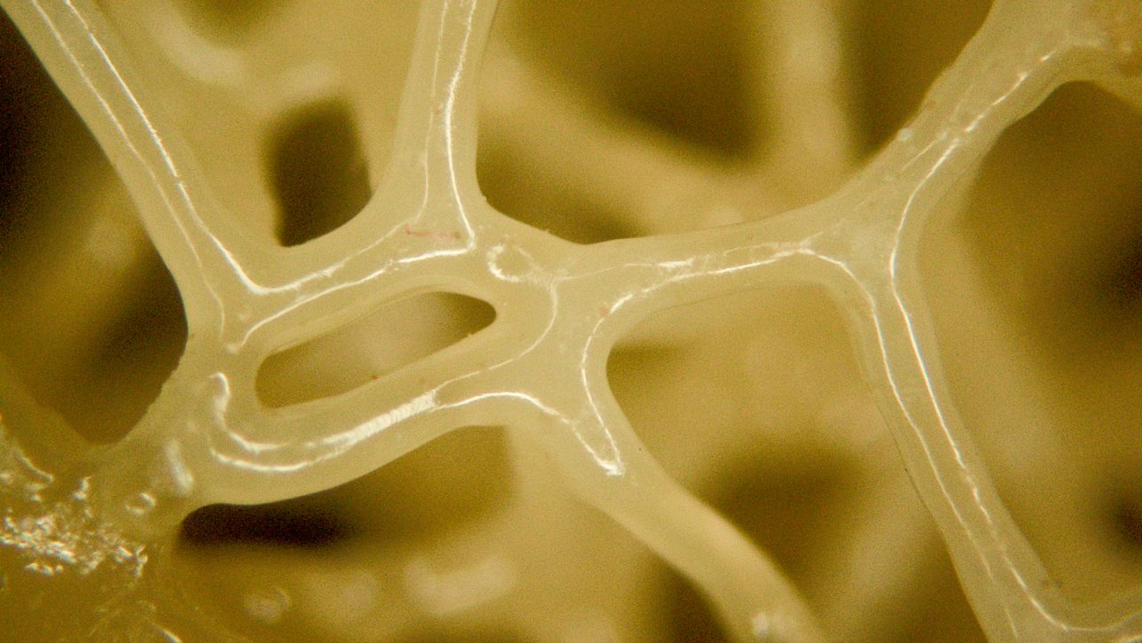 Coin-5x-Pic2-1-1-1288x726