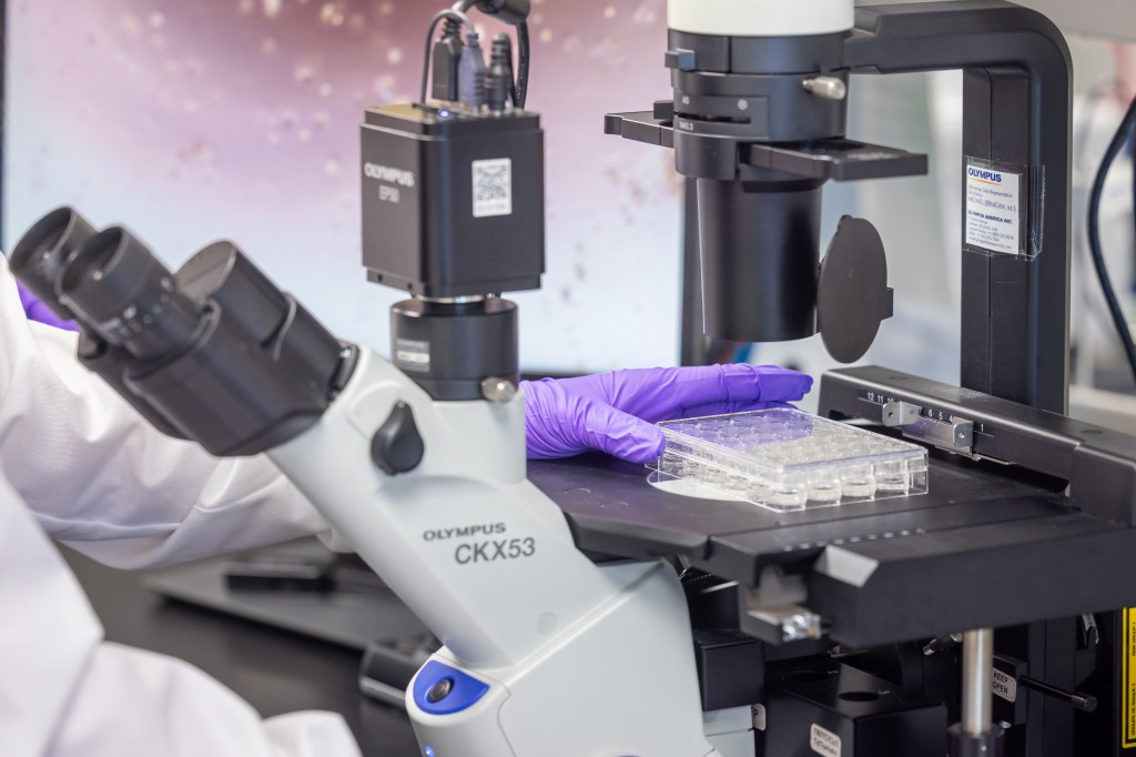 Hydrogel materials being examines under microscope.