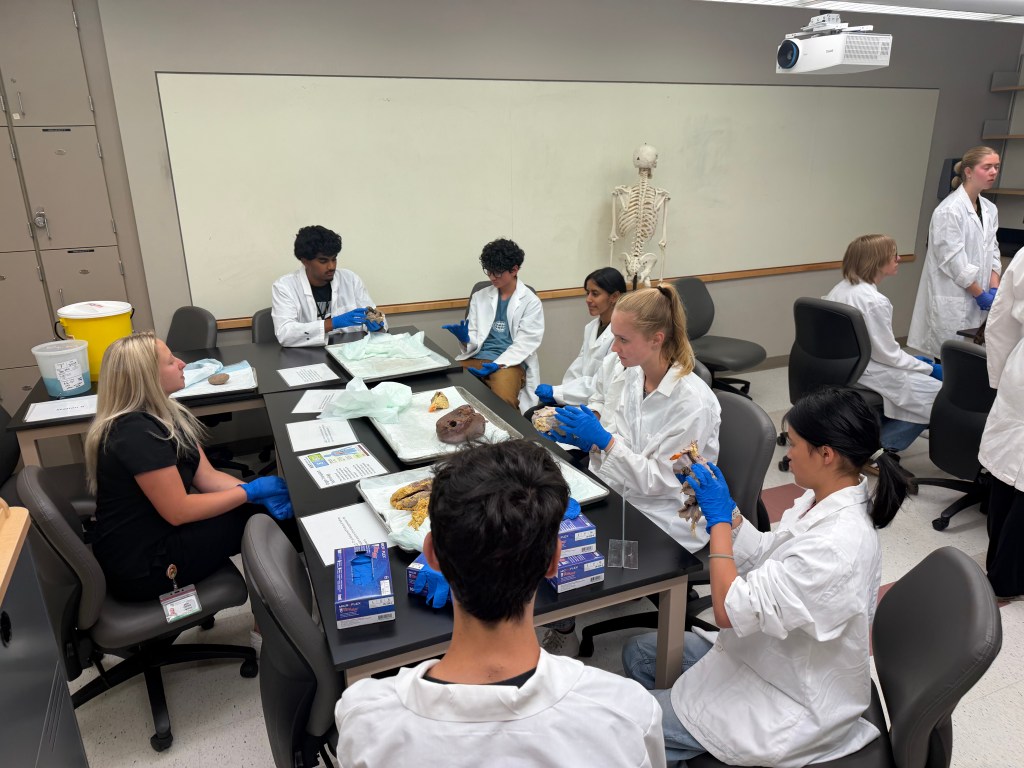 BOLT Students getting hands on experience, each one holding an organ during a cadaver lab